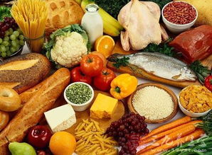 陕西省将实行食品经营许可管理制度